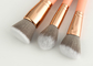 Exemplo de Mini Travel Makeup Brush Set Rosy Pink Color With Zipper da forma de Vonira