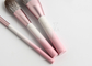 Grupo de escovas branco cor-de-rosa da composição da cor do inclinação de Vonira 10 PCS com logotipo da marca própria da fibra do milho